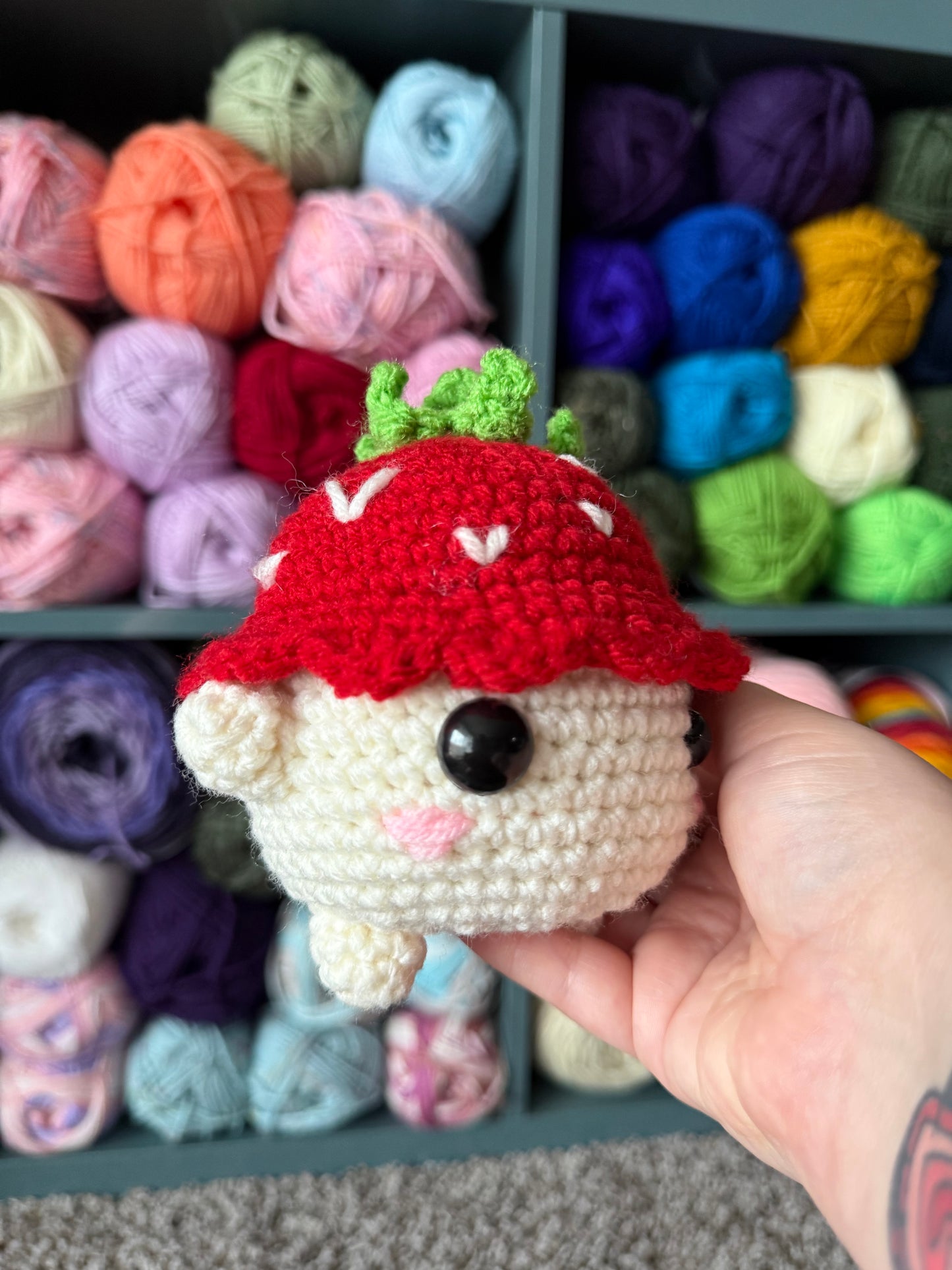 Steve the strawberry dude