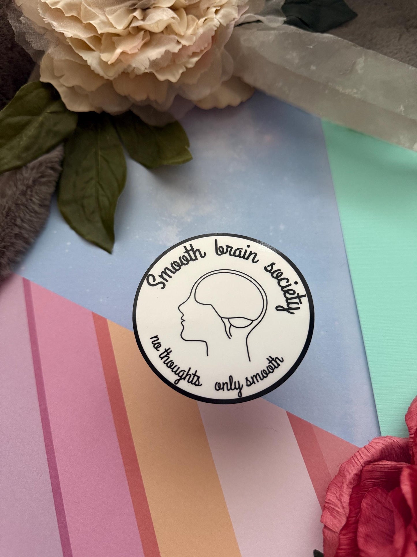 Smooth brain society vinyl sticker, funny decal for laptop, kindle sticker, sarcastic sassy stickers, adult stickers, no thoughts sticker